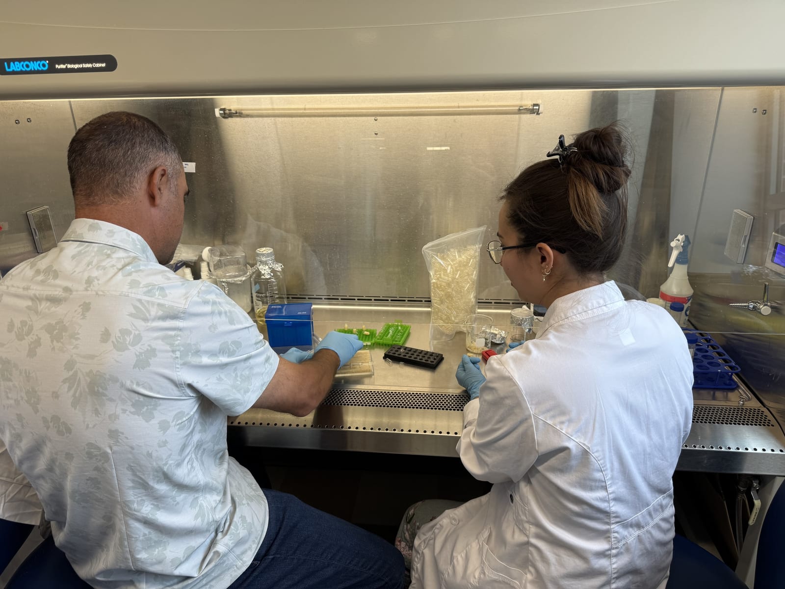Two lab members working side by side at a biosafety cabinet