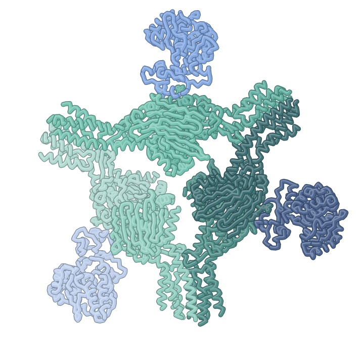 PDB 8UX9: PARIS immune complex (AriA6–AriB3)