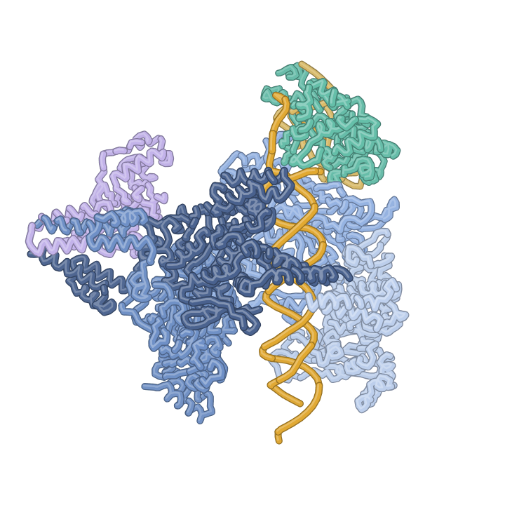 PDB 9N6B: Retron I-A complex, HNH nuclease “up”